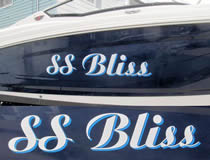 SS Bliss
